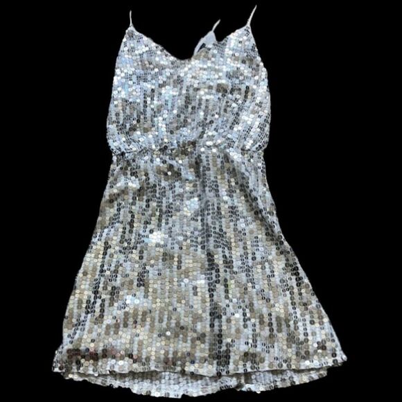 Zara Silver Sequin Mini Dress - Picture 14 of 16
